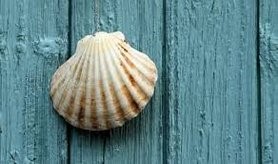 Marcheurs d’Espérance sur le Chemin de St Jacques de Compostelle