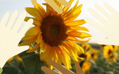 Même en été, la solidarité ne prend pas de vacances